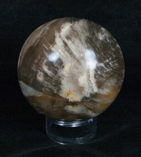 Inch Petrified Wood Sphere #4032